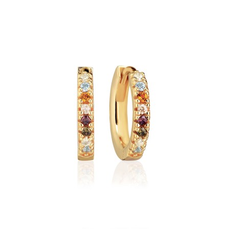Ellera Medio Y Multy earrings 