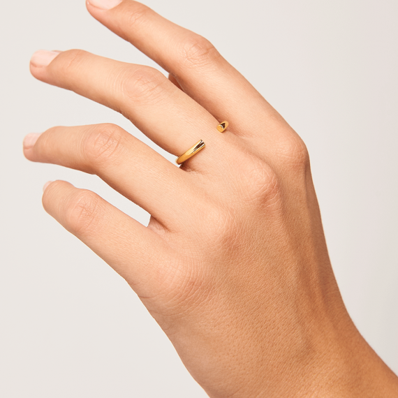 Core ring Core ring